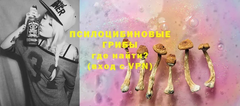 Галлюциногенные грибы Psilocybe  blacksprut ССЫЛКА  Ивдель 